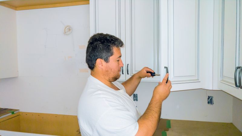 Cabinet Door Repair detail
